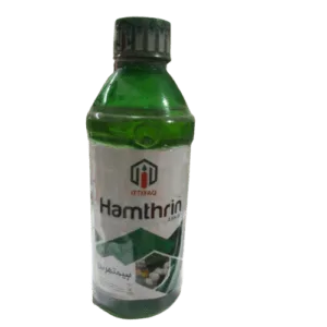 Hamthrin front