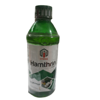 Hamthrin front