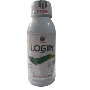 Login front