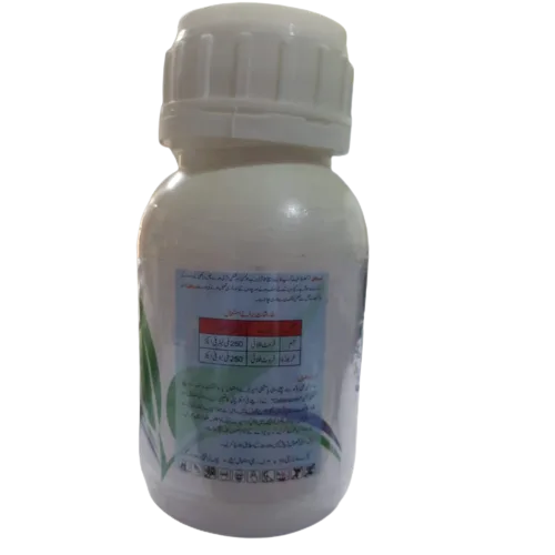 Trial fruit fly