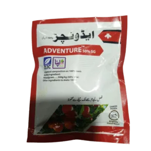 adventure back