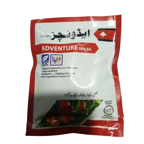 adventure back