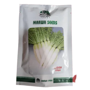 Marwa Radish seed