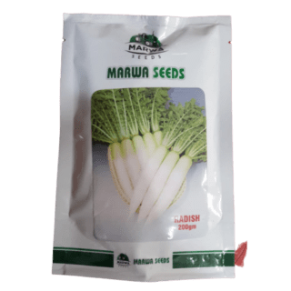 Marwa Radish seed