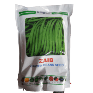 sogro Zaib beans