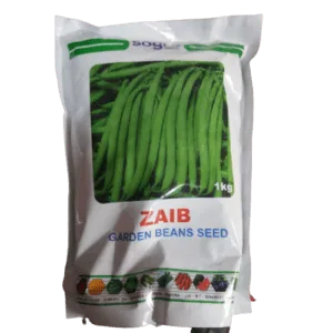 sogro Zaib beans