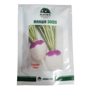 marwa turnip