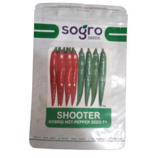 sogro shooter hybrid hot pepper