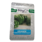 Grande Hybrid Sweet-Pepper Seed F1