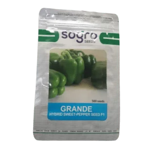 Grande front