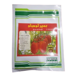 Bumper tomato front