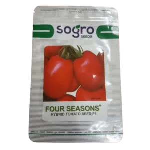 Four season front