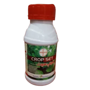 cropset front