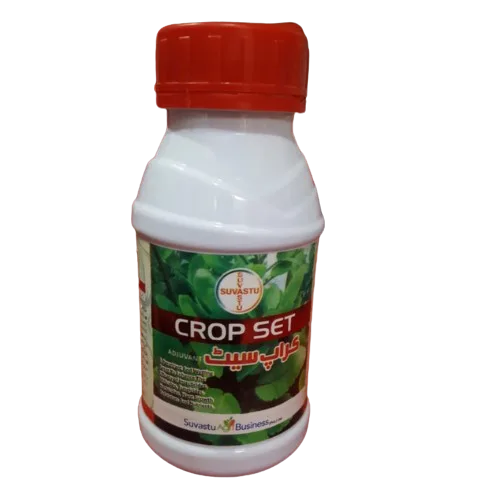cropset front