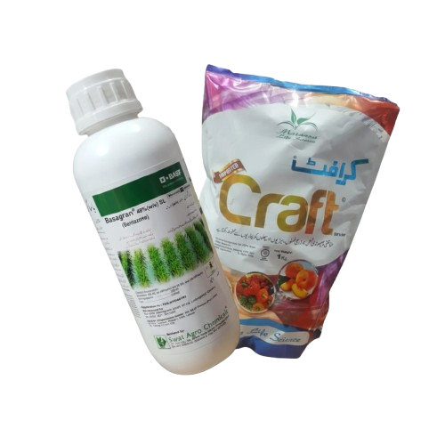 Zaraidawai hero section with floating Basagran and Craft products