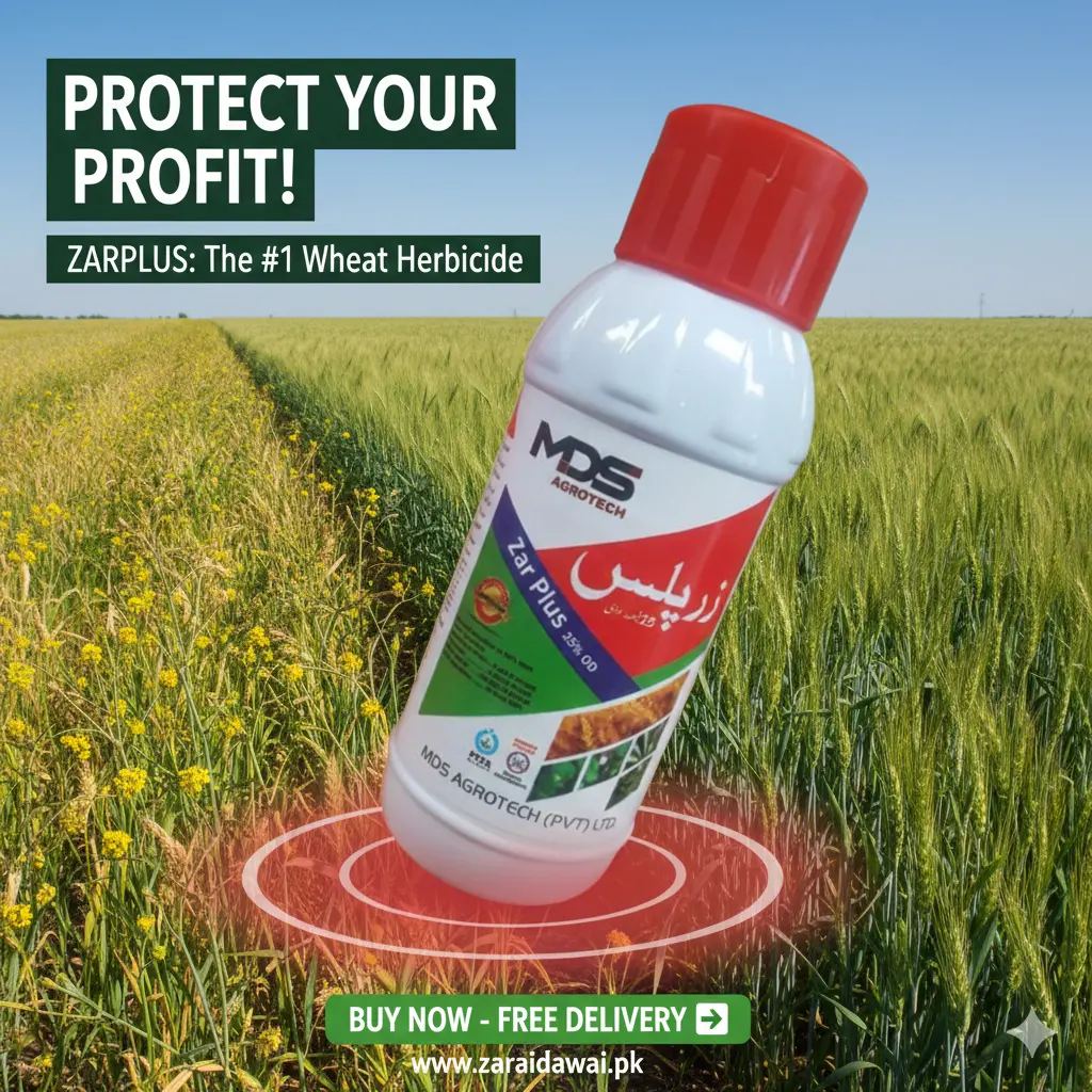 Zarplus Wheat Herbiccide